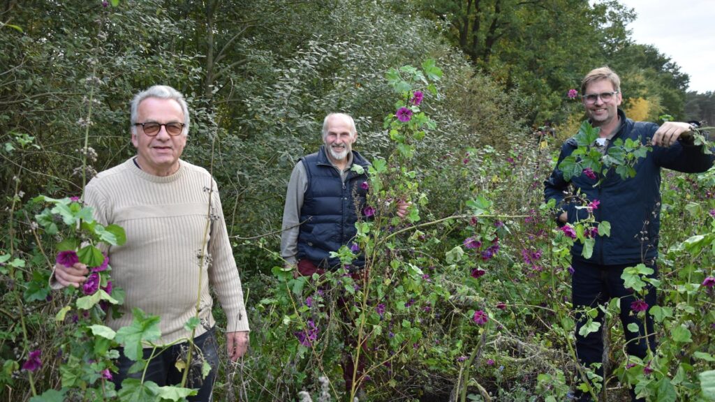 Malstedter Bauern stehen auf bunte Blumen am Feldrand